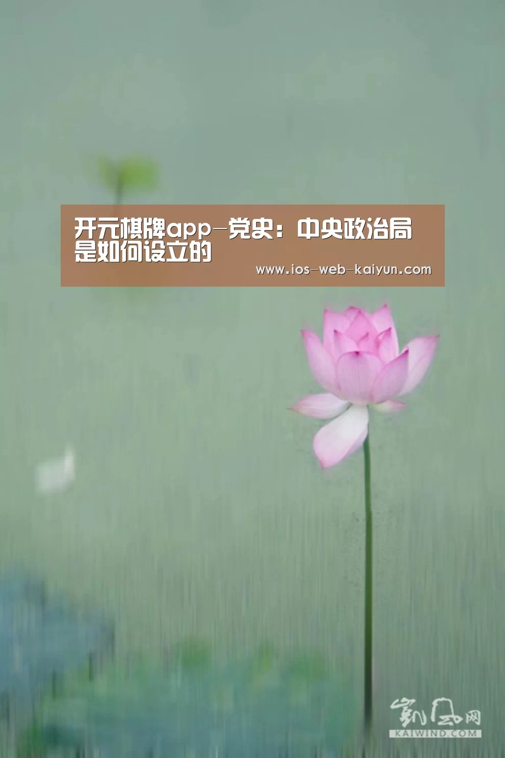 开元棋牌app-党史:中央政治局是如何设立的(图3) 开元棋牌官网