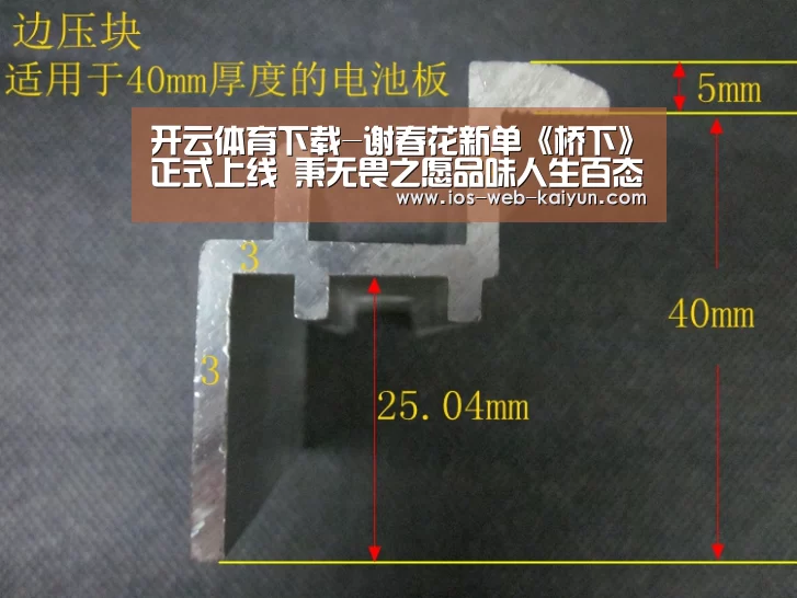 开云体育下载-谢春花新单《桥下》正式上线 秉无畏之愿品味人生百态