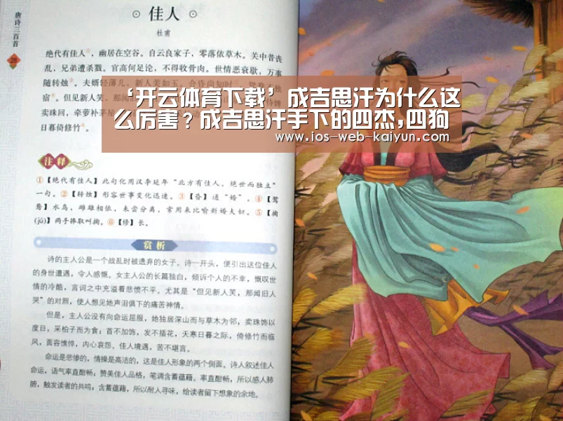 开元棋牌电脑版