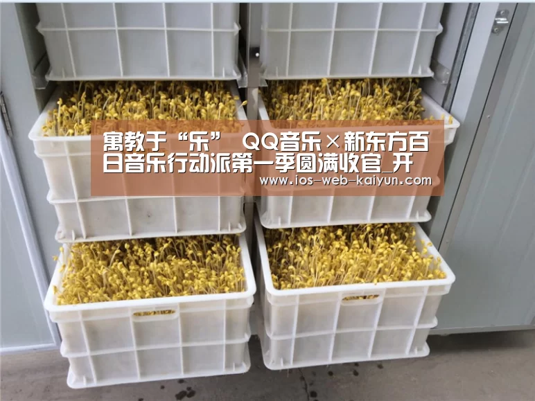 寓教于“乐” QQ音乐×新东方百日音乐行动派第一季圆满收官_开元棋牌电脑版